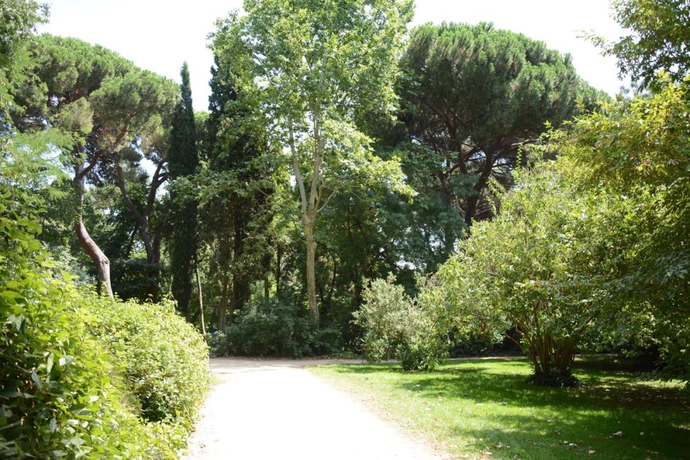 Parque de El capricho (Madrid) 2018