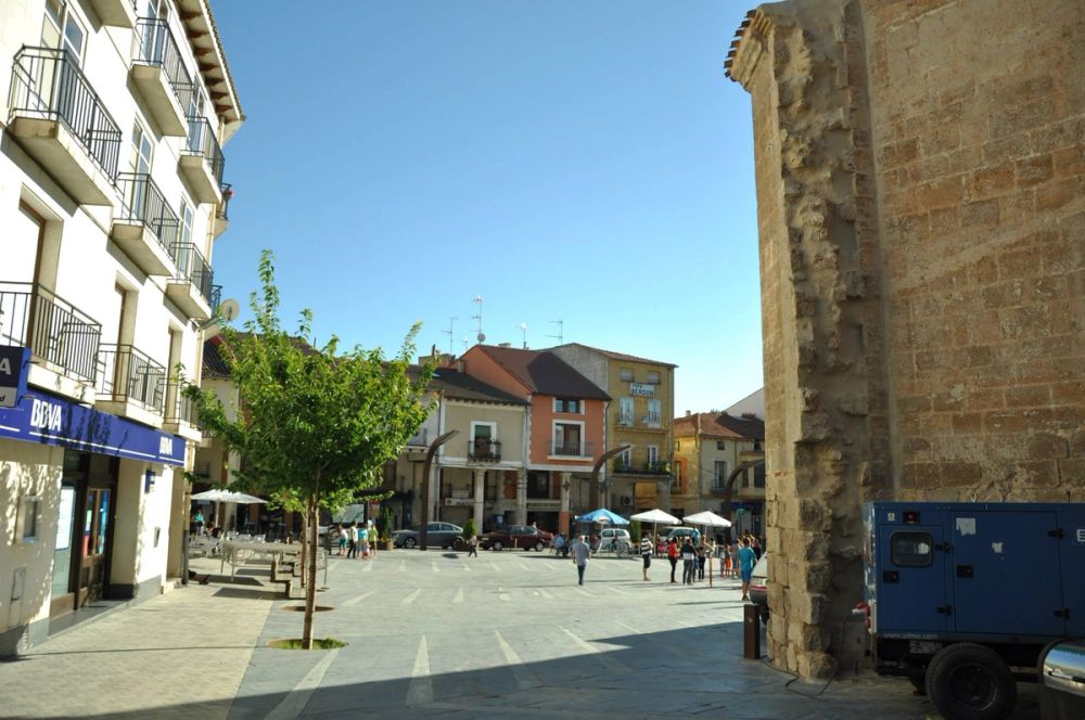 Roa del duero 2014