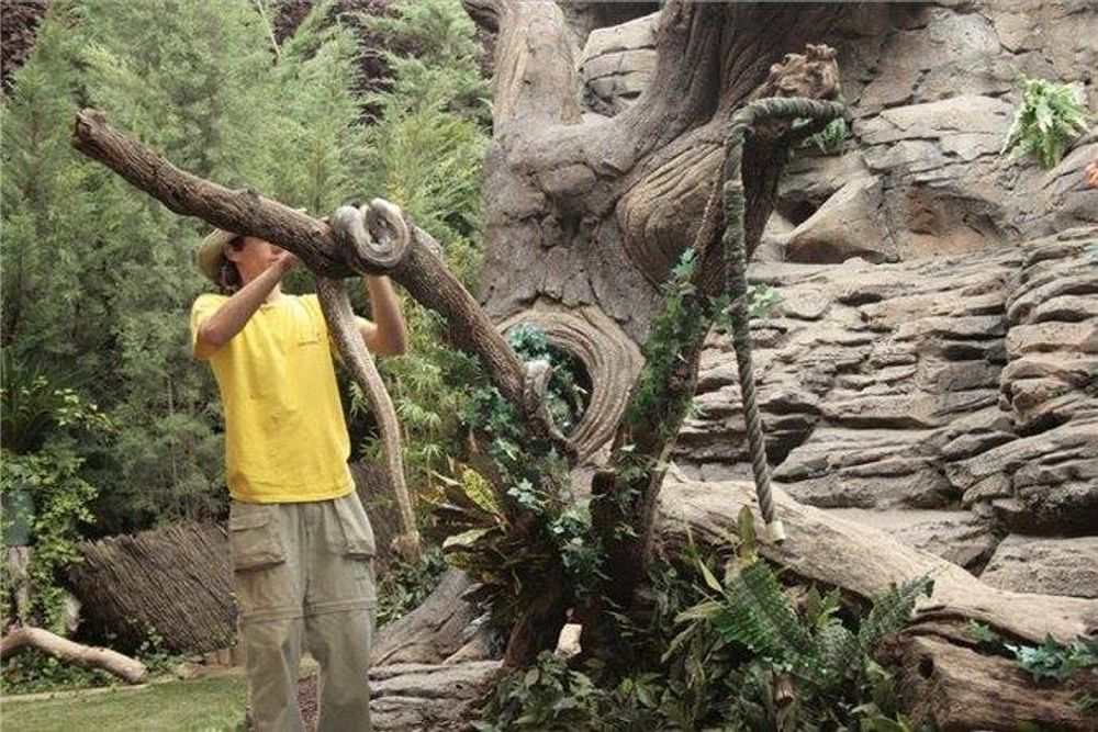 Faunia 2010