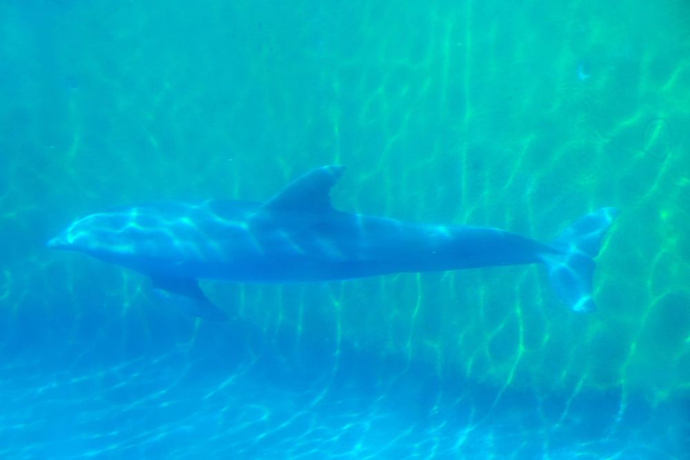 Zoo 17-08-2024