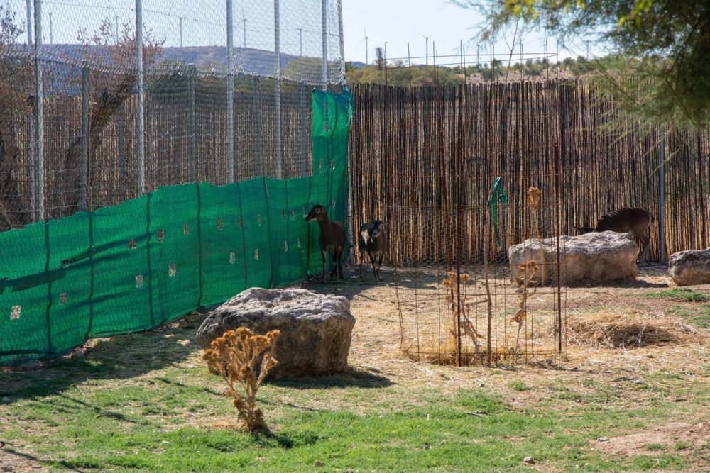 Zoo de Lillo 03-09-2022