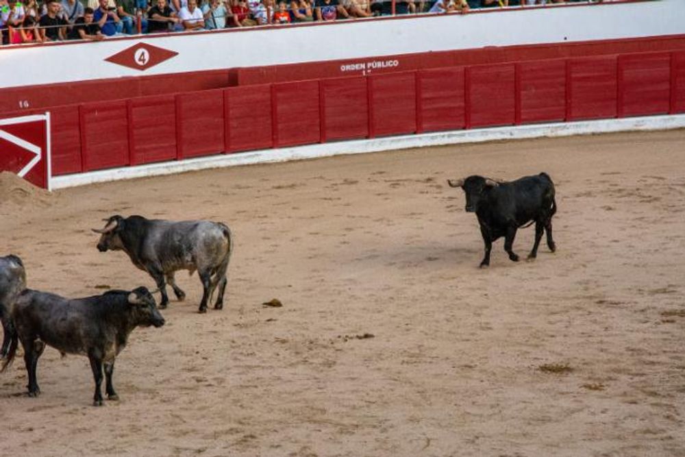 Toros en Colmenar Viejo 22-08-2019