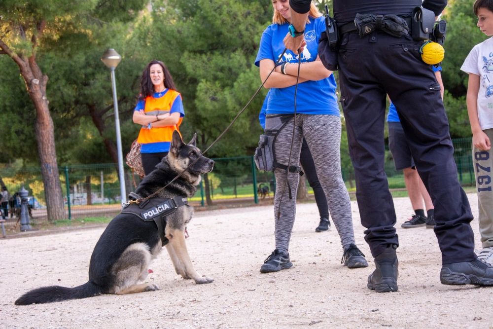 Formacion de perro policia 22-09-2019