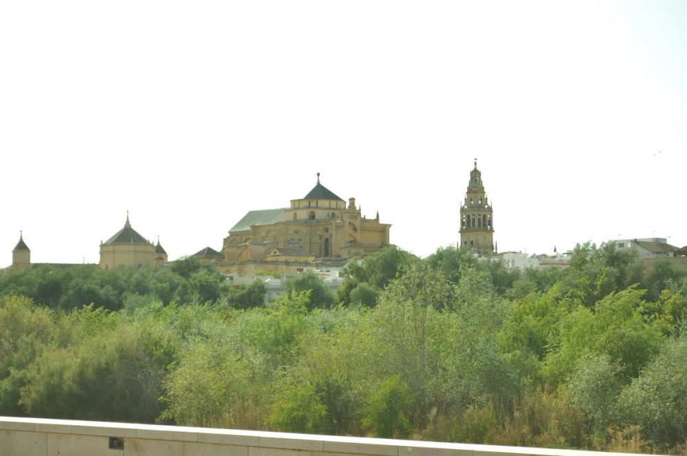 Cordoba 2013