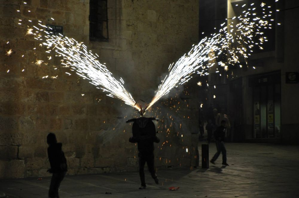 Roa del duero 2014