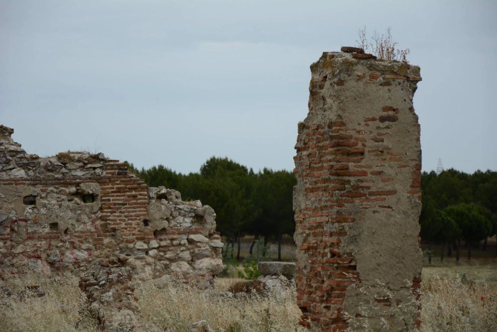 Parque polvoranca (Leganes) 10-06-2019