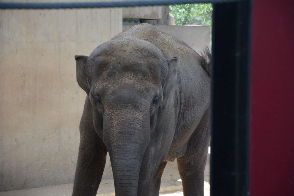 zoo 07-07-2018
