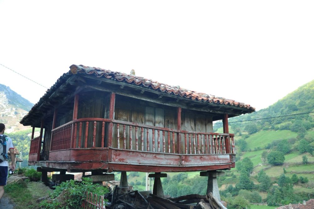 Babia (Leon/Asturias) 2014
