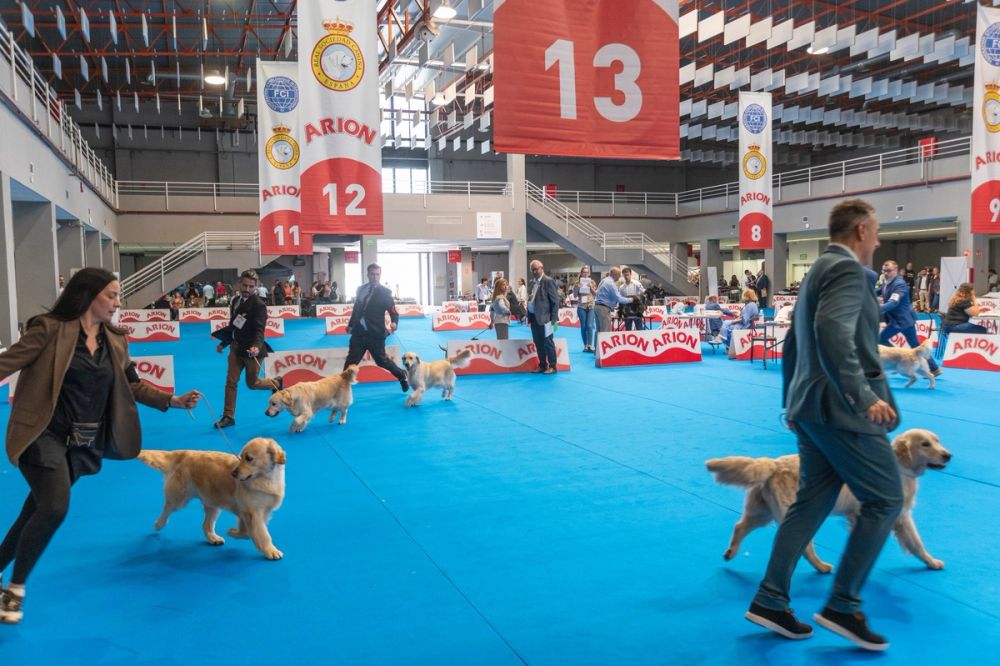 Exposicion canina (ciudad real) 01-06-2024