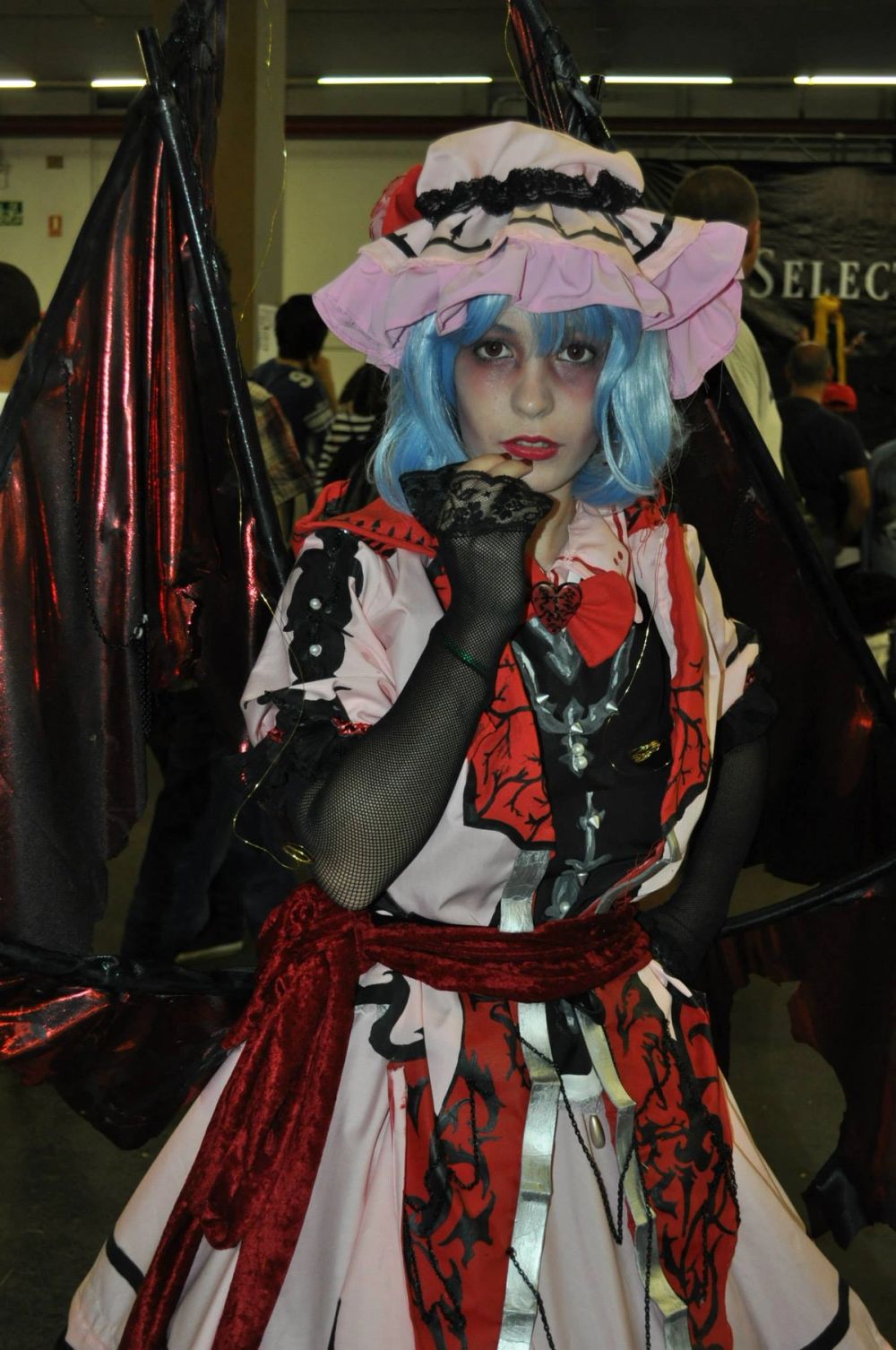 Japan Weekend 2013