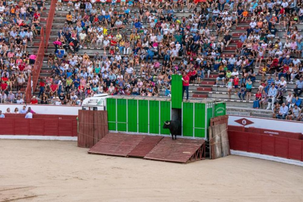 Toros en Colmenar Viejo 22-08-2019