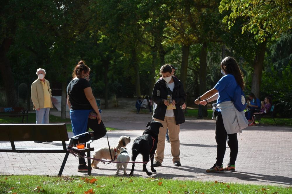 V ruta canina de Leganes 20-09-2020