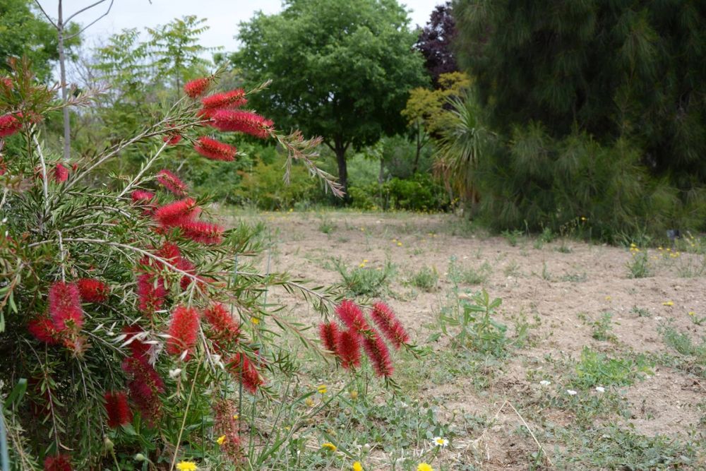 Naturaleza Parque polvoranca (Leganes) 10-06-2019