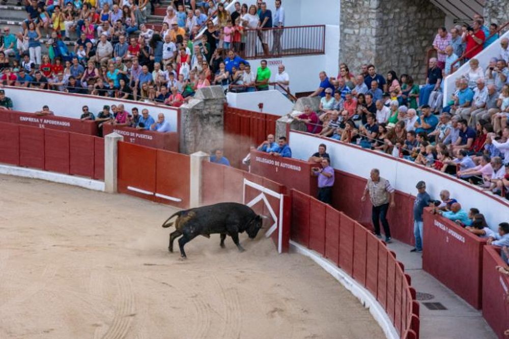 Toros en Colmenar Viejo 22-08-2019