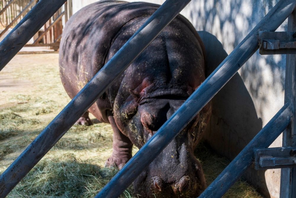 Zoo 17-08-2024