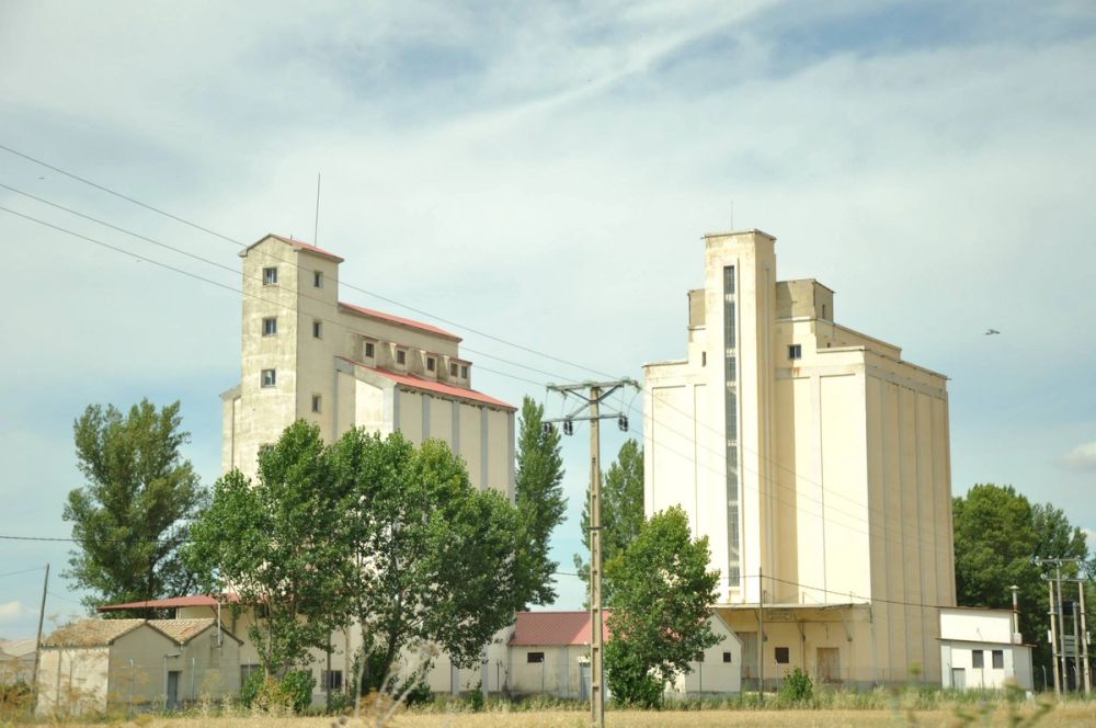 Roa del duero 2014