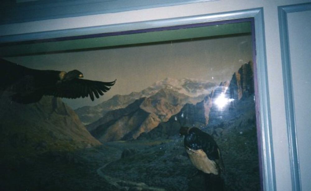 New York 2003