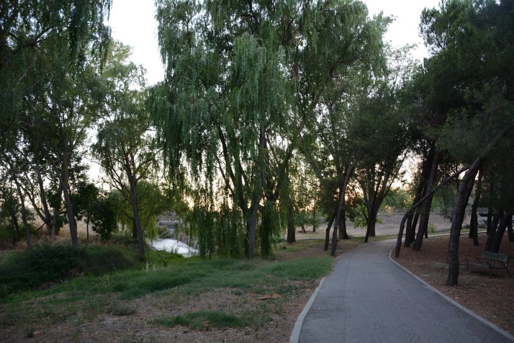 Parque Polvoranca (Leganes) 20-08-2017