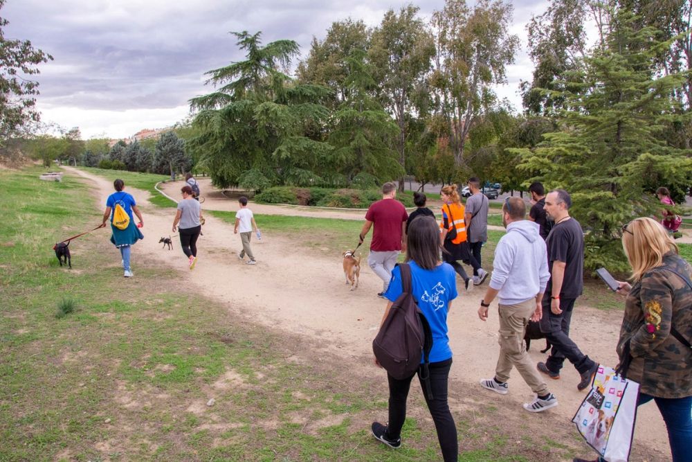 IV Ruta canina en Leganes 22-09-2019