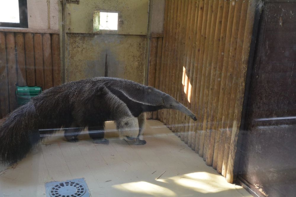 zoo 07-07-2018