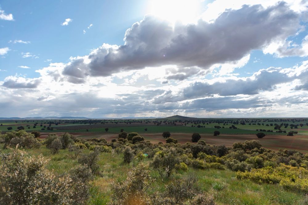 Sierra de Corral de Almaguer 03-05-2025