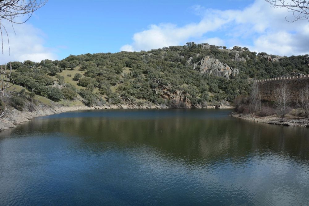 Buitrazo de Lozoya 04-03-2017