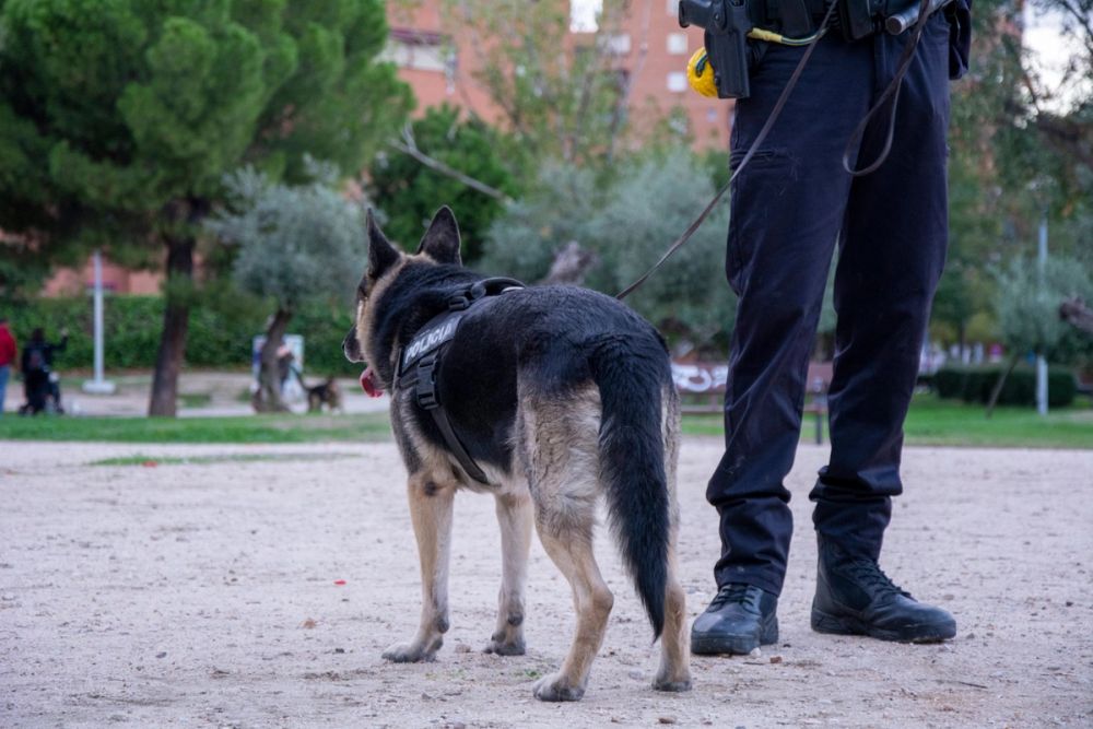 Formacion de perro policia 22-09-2019