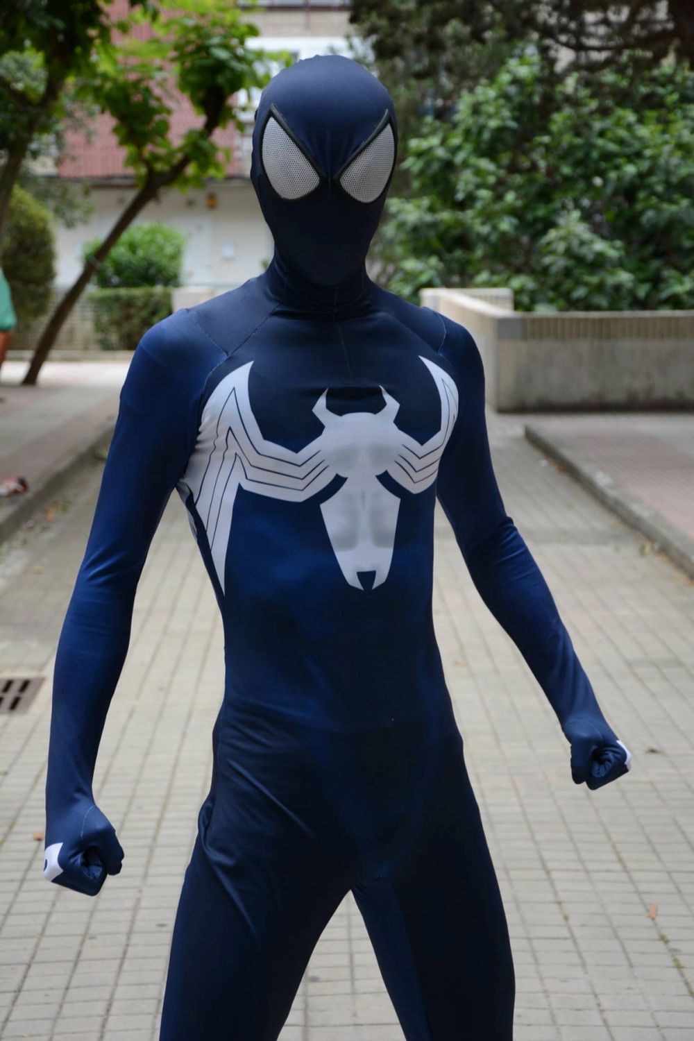 Spiderman black Blue Prnze 2017