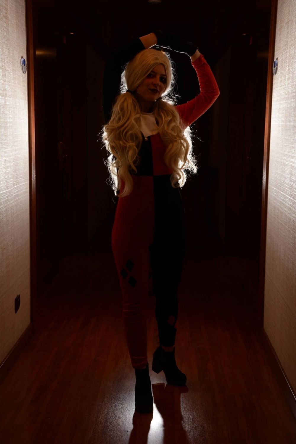 harley quinn 24-02-2019