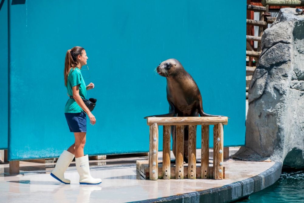 Zoo 17-08-2024