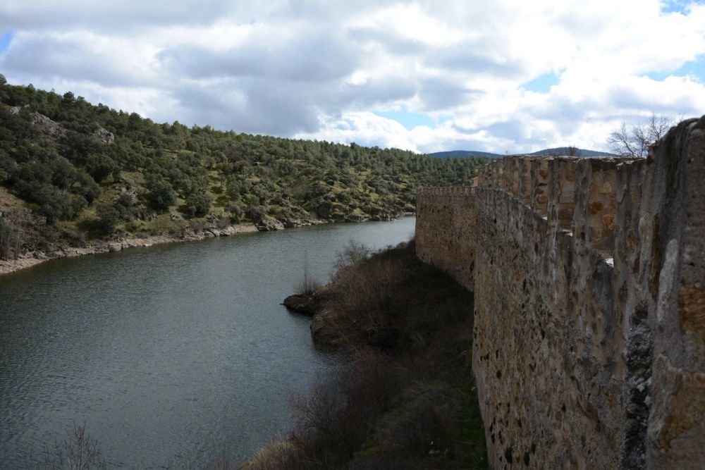 Buitrazo de Lozoya 04-03-2017