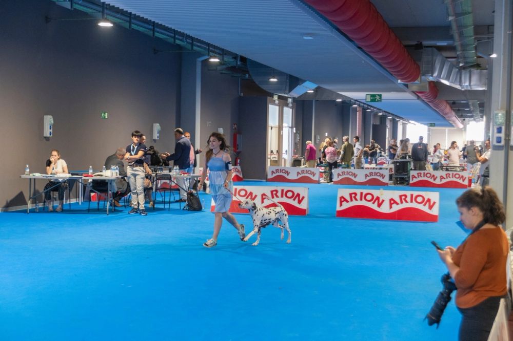 Exposicion canina (ciudad real) 02-06-2024