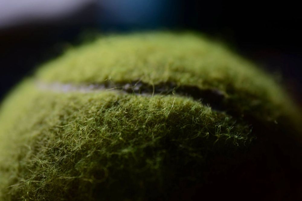 Fotografia Macro 2018