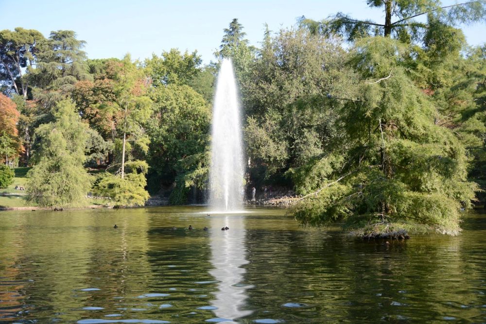 Parque del Retiro (Madrid) 18-08-2017