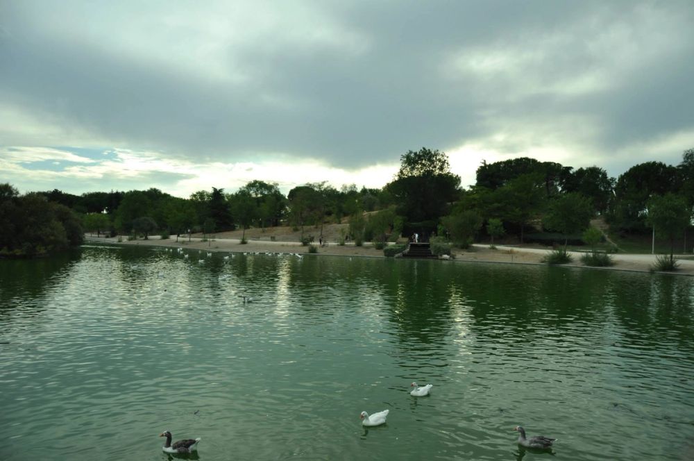 parque Polvoranca (Leganes) 30-08-2014