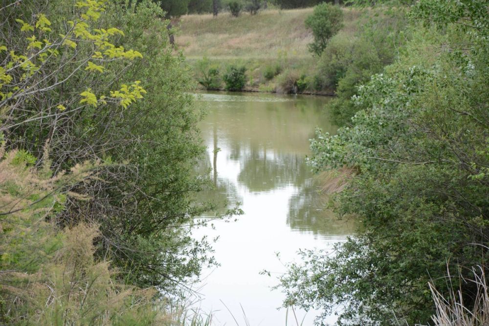 Naturaleza Parque polvoranca (Leganes) 10-06-2019