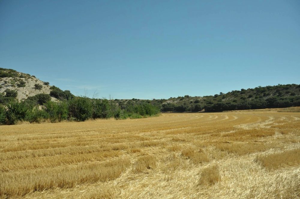 Valle de Lillo 2017