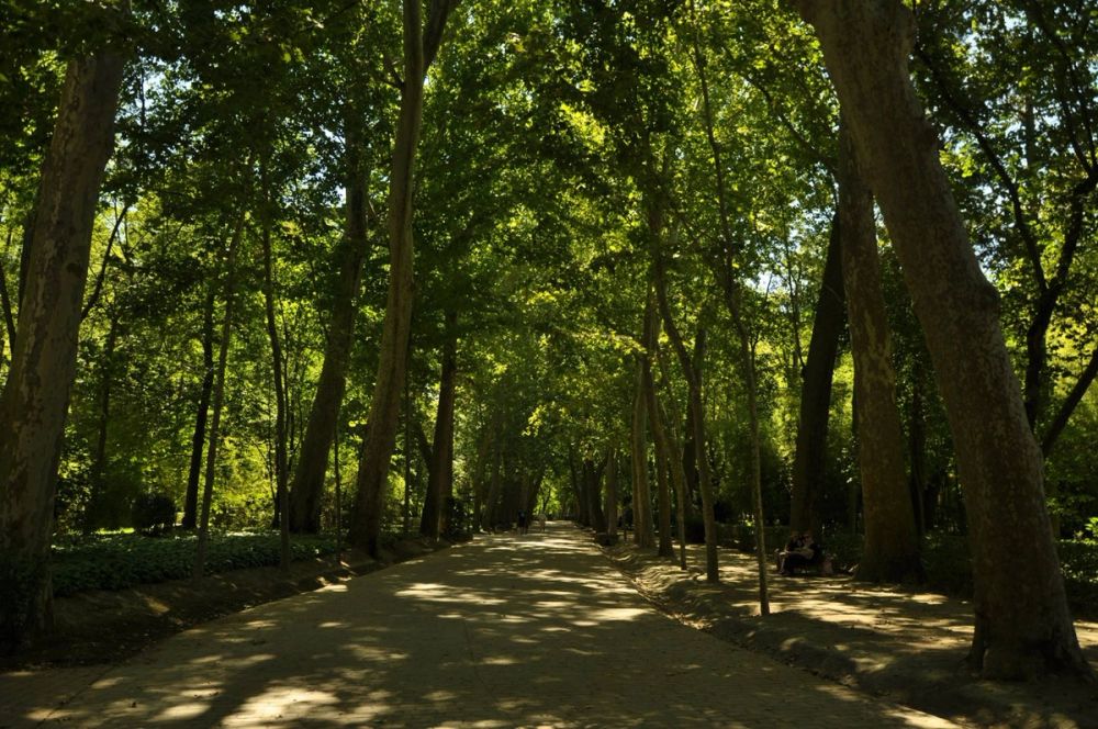 Aranjuez 2016