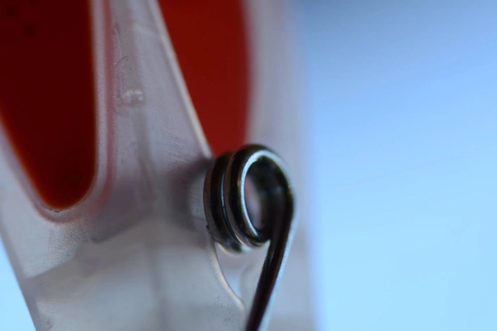 Fotografia Macro 2018