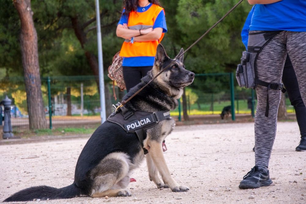 Formacion de perro policia 22-09-2019