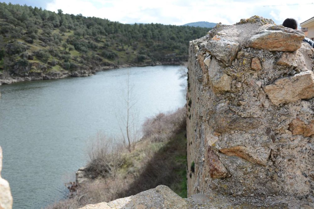Buitrazo de Lozoya 04-03-2017