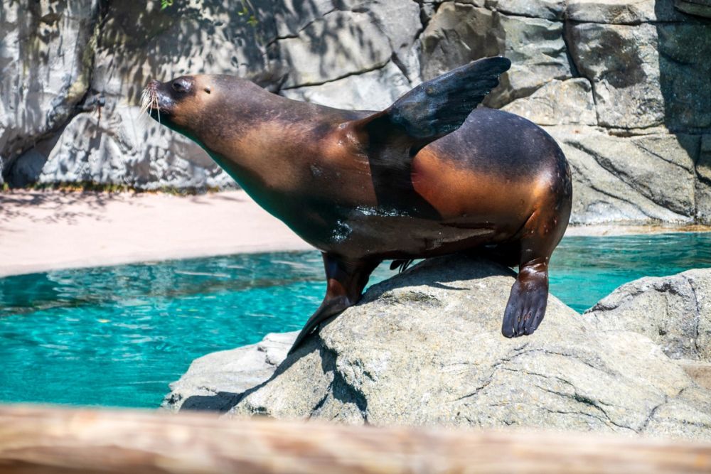 Zoo 17-08-2024