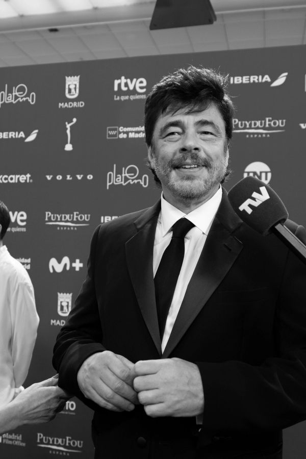 Benicio del Toro