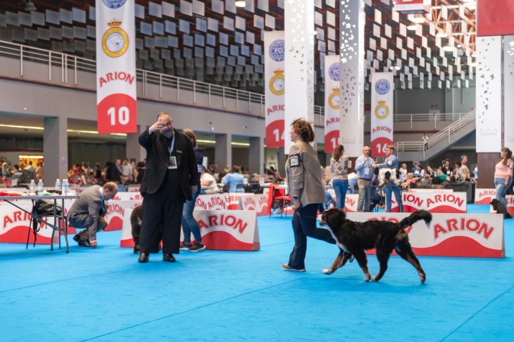 Exposicion canina (ciudad real) 01-06-2024