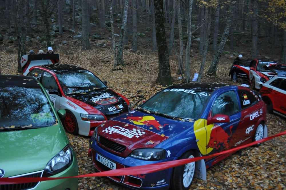 Torneo de rallys 25-11-2012