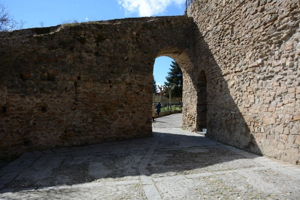 Buitrazo de Lozoya 04-03-2017