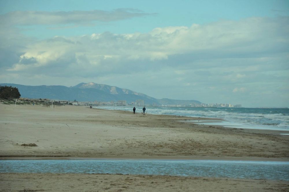 Oliva (Valencia) 15-12-2014