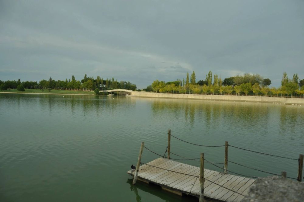 parque Polvoranca (Leganes) 30-08-2014