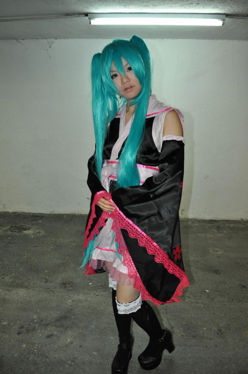 Japan Weekend 2013