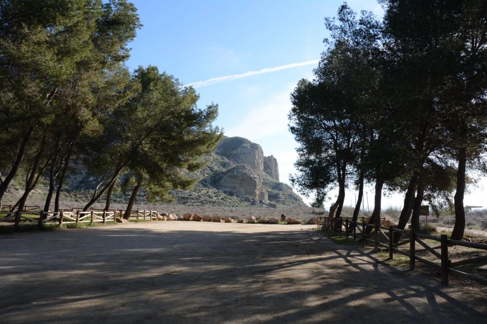Parque del Pacadar (Rivas-vaciamadrid) 09-03-2017
